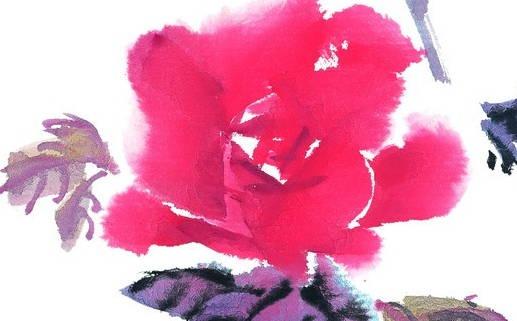 小孩取名字大全2022屬虎男 小孩取名字大全2022屬虎男