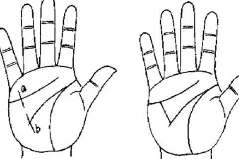 男女川字掌適合與什么類(lèi)型的人結(jié)婚