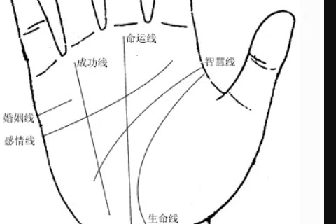 假斷掌紋手相的不同形式解析