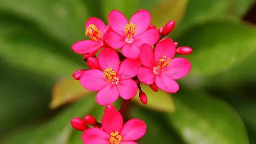 夢(mèng)見和哥哥打架是什么意思 夢(mèng)見和哥哥打架是什么意思