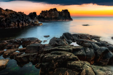 女人夢見貓咬手甩不掉 夢見貓咬手卻沒有流血