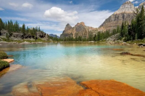 個性好聽的橙字取名 獨特有趣的橙字名字