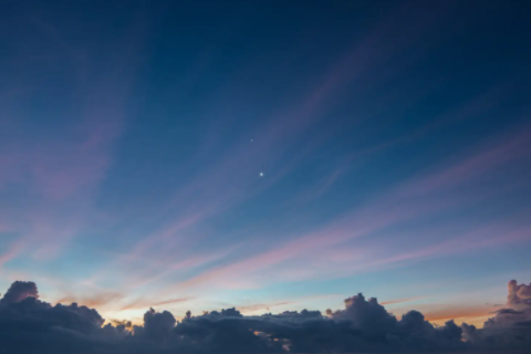 女人夢見貓咬手甩不掉 夢見貓咬手卻沒有流血