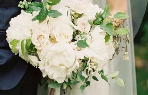 星座0319 星座0319