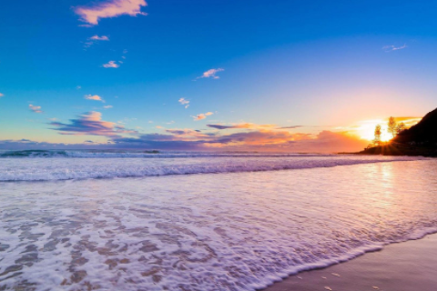 女人夢見好大一條蟒蛇 夢見大蟒蛇要發財真的假的