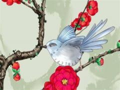 羊年1967出生2022年運勢