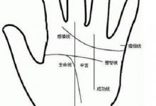 女人川字掌的命運怎樣?敢愛敢恨旺夫相