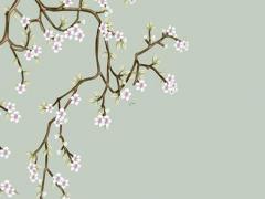 2022年辛丑女的愛情運(yùn)勢