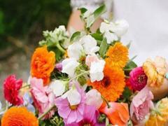 起點高 這些星座注定天生不凡