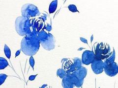 虎年男寶寶小名洋氣