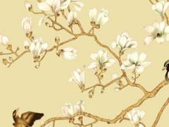 1954年屬馬2022年屬馬人運勢