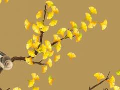 屬虎的多會犯太歲