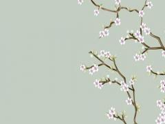 2022年屬蛇女5月運勢