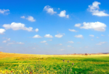 洗車行名字好聽有財氣 洗車店高端洋氣的名字