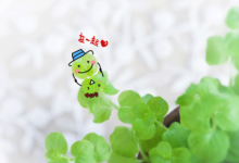 可愛有個性的超喪網名 很喪很絕望的網名