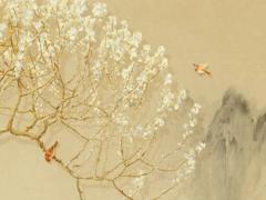 2022年屬龍的運(yùn)勢(shì)和財(cái)運(yùn)1988年男