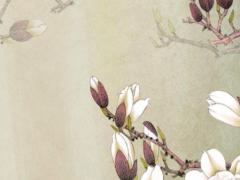 屬狗2022年桃花運勢