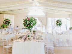 熬過這個月 生活就會大放異彩的星座