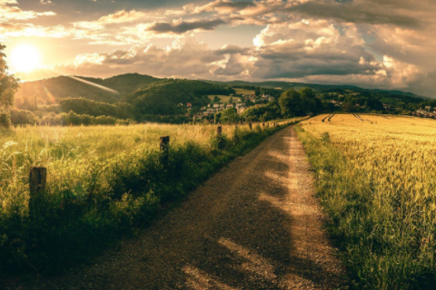 孕婦夢見掉牙是胎夢嗎 懷孕5個多月夢見牙掉了