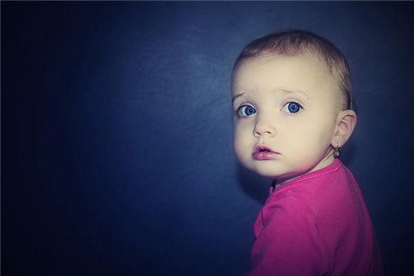 1155-.夢(mèng)見貓狗人是什么意思 1155-.夢(mèng)見貓狗人是什么意思