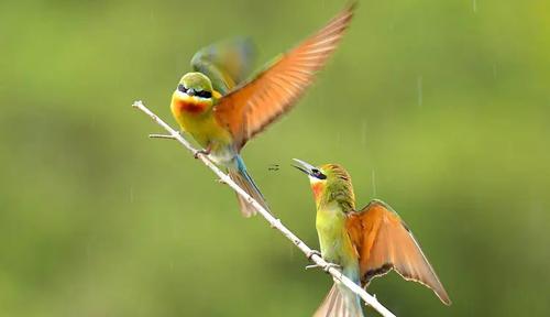 11310-.夢見朋友出事了是什么意思 11310-.夢見朋友出事了是什么意思