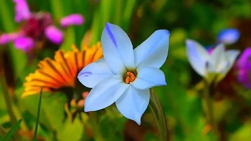 11392-.夢見關公和自己說話是什么意思 11392-.夢見關公和自己說話是什么意思