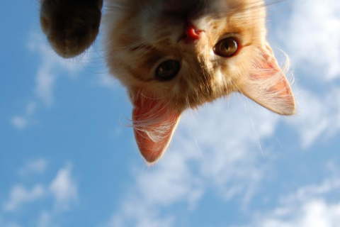 男生高冷很撩的網名 男生網名溫柔干凈