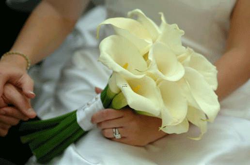 13785-.不結婚也能活的很精致的星座女