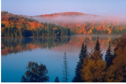 五行喜土怎么布局