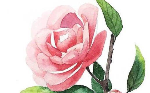 13631-.好聽(tīng)的婚紗照相冊(cè)名字