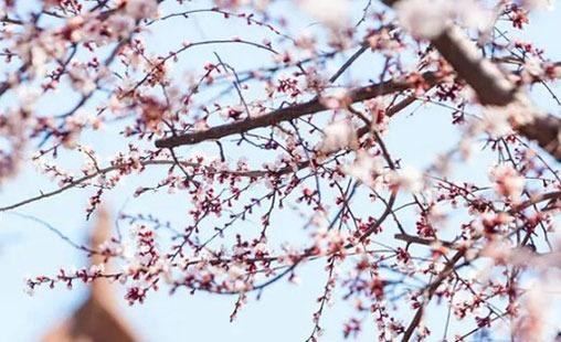 有內(nèi)涵大氣的公司名字 好聽公司名字