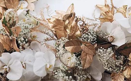 17793-.在星座里面哪個做做理財 17793-.在星座里面哪個做做理財