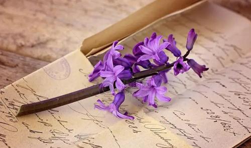 11614-.夢見老公要殺我 11614-.夢見老公要殺我