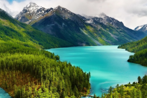 做夢夢到狗咬手什么意思 女人夢見狗咬手沒出血