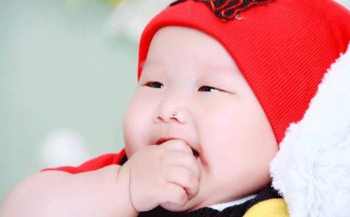 12178-.2010虎寶寶取名大全