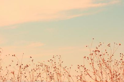 不同生肖午時(shí)出生的女人命運(yùn)好不好