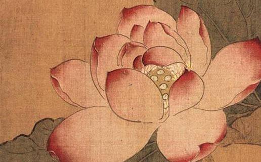 12632-.虎寶寶起名哪些部首宜