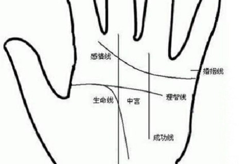 生命線什么樣的健康長壽?沒有斷裂過