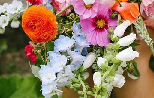 19732-.這些星座一翻臉就是一場腥風血雨！