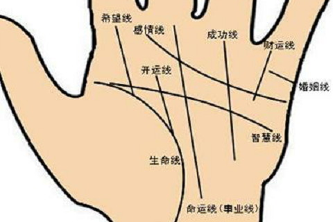生命線分叉的不同形態(tài)分別代表什么