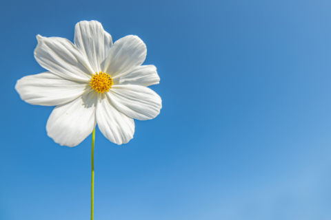 男生高冷很撩的網名 男生網名溫柔干凈