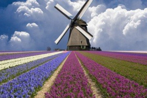 五行喜土如何改運(yùn)?風(fēng)水和飾品改運(yùn)