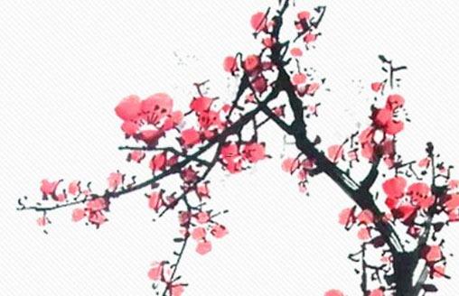13453-.十二星座女誰真的柔弱