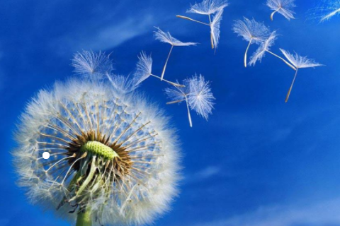 做夢夢到狗咬手什么意思 女人夢見狗咬手沒出血