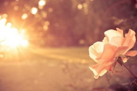 八字看流年事業運怎么看?流年的影響很大