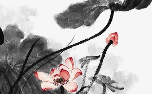 10740-.名字好聽的中藥