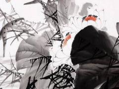 虎寶寶取名大全2022款免費