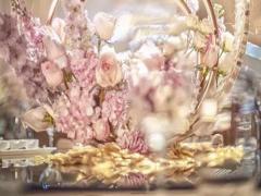 勤勤懇懇工作，卻得不到老板賞識的星座