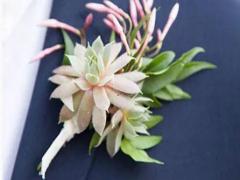 十二星座翻舊賬