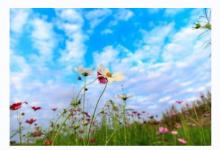 戌時有什么講究?不能貪吃東西